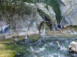 Tiergarten Schönbrunn am 03.10.2025